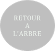 Cliquez pour retourner  larbre